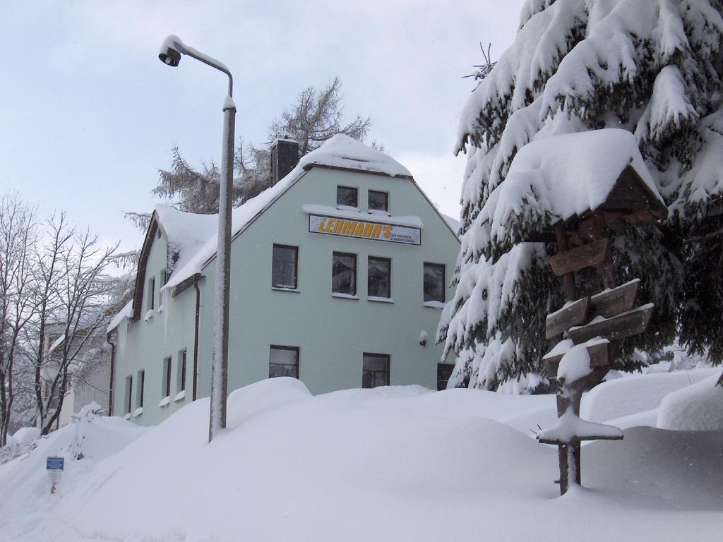 Apartments - Lehmanns Ferienwohnungen Обервізенталь Екстер'єр фото