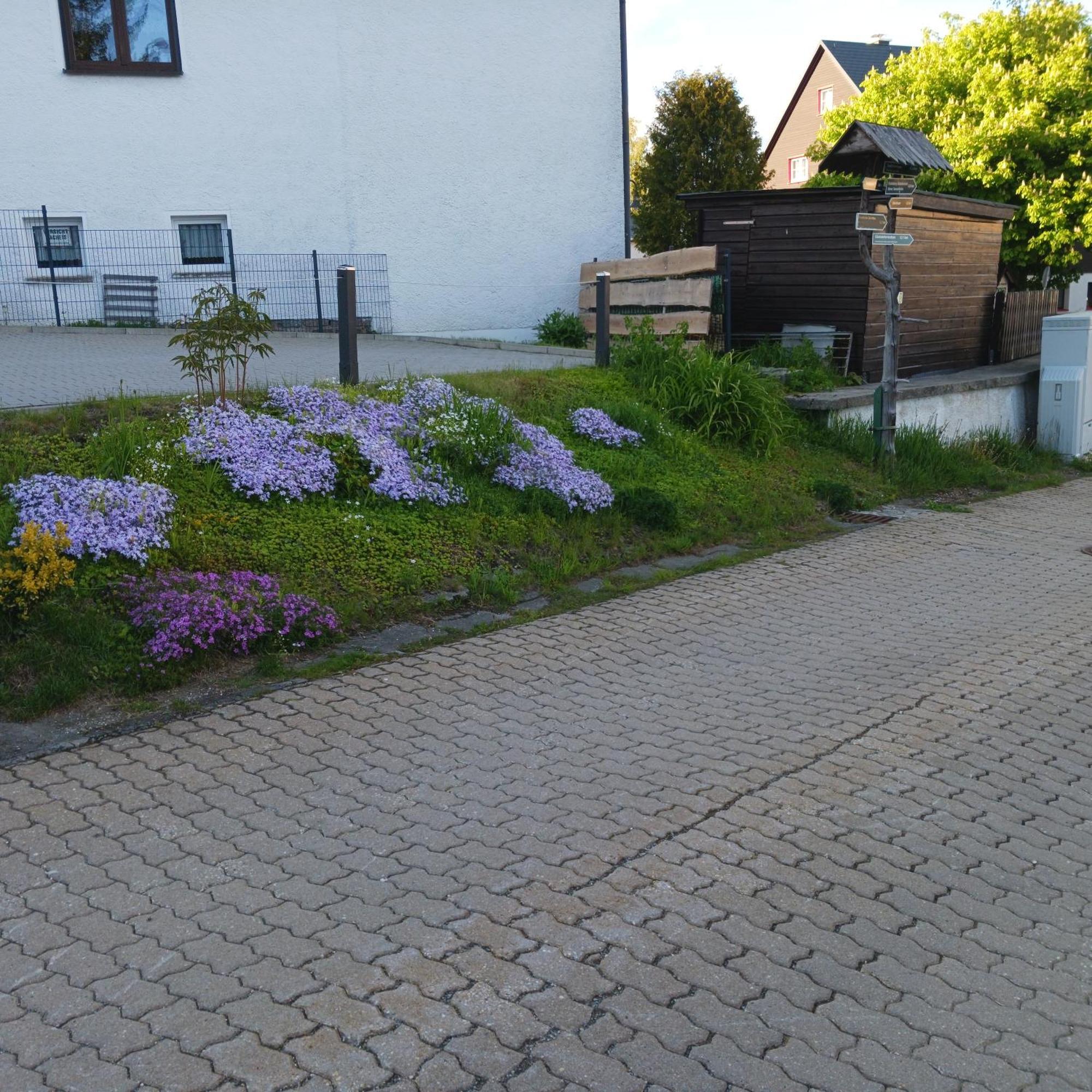 Apartments - Lehmanns Ferienwohnungen Обервізенталь Екстер'єр фото